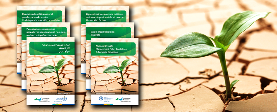 IDMP_Banner_PolicyGuidelines-1