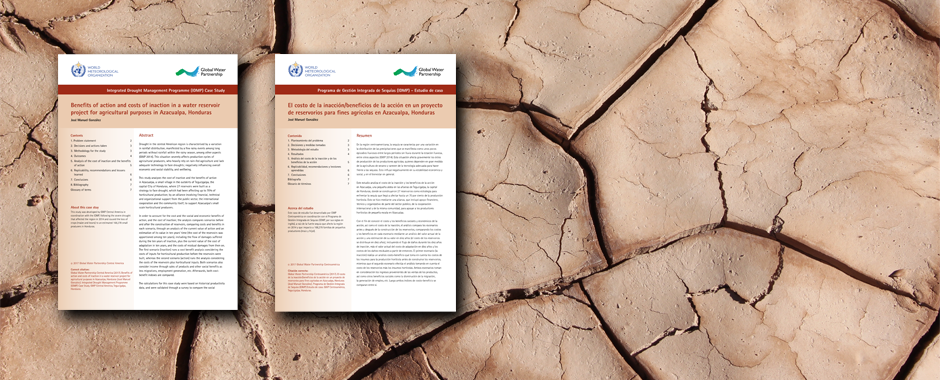 IDMP_Banner_BACI_HondurasCS