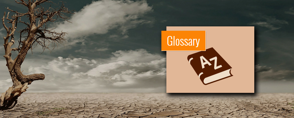 IDMP_Banner_Glossary
